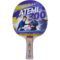 НАСТОЛЬНЫЙ ТЕННИС