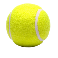 БОЛЬШОЙ ТЕННИС